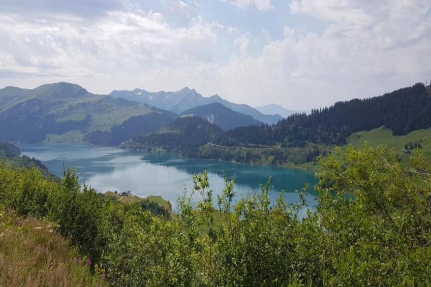 T. DU MOREL A N°25 - 2P5 - foto 35