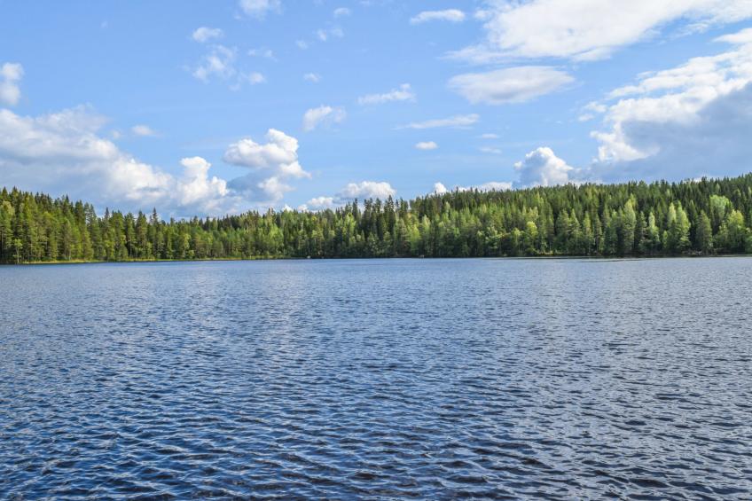 Herrankukkaro - foto 53