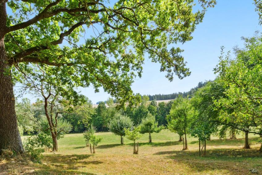 Loftwohnung - foto 12