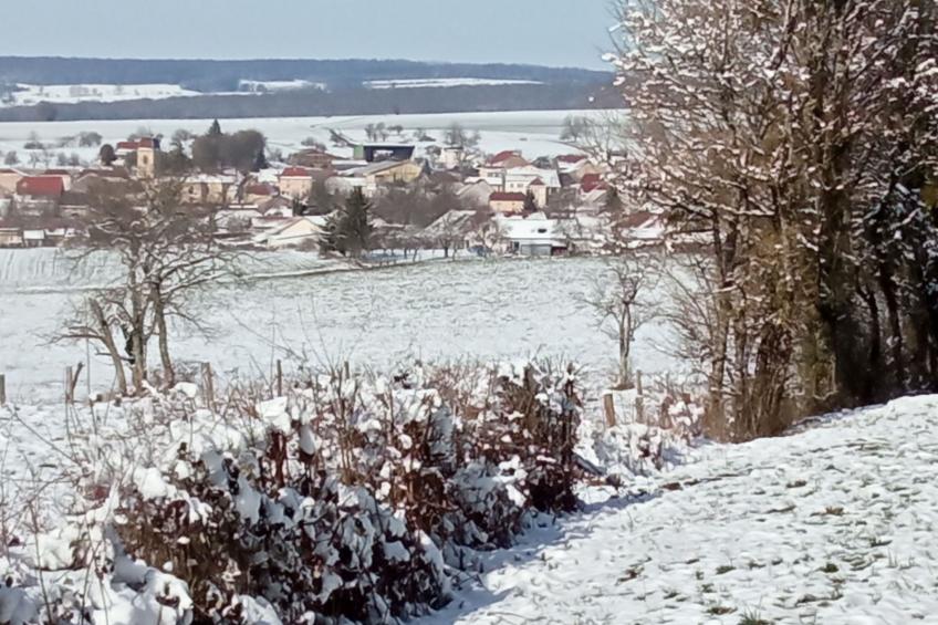 Les deux Unicornes Herrenhaus - foto 17