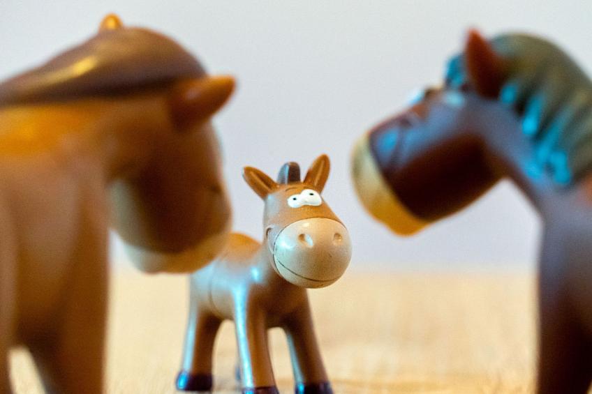 Landhaus Allgeier - foto 20