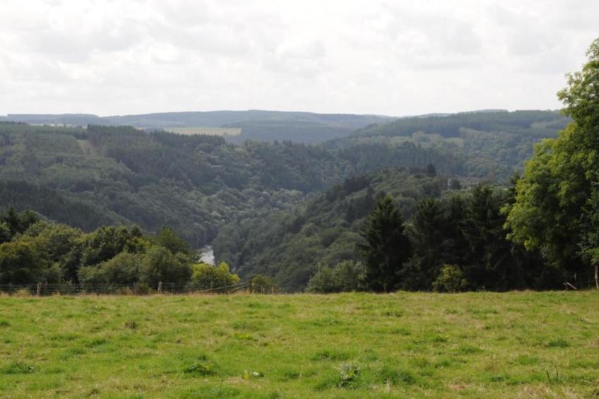 Petit Wilogne - foto 36