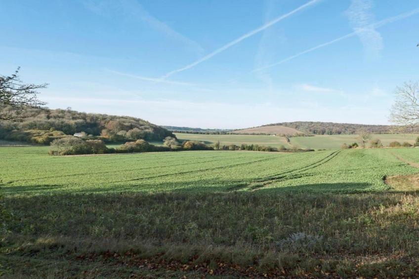 South Downs Lodge - foto 17