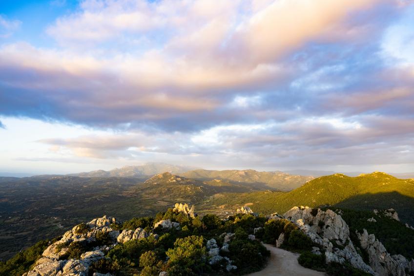 La Suara Manna - foto 33