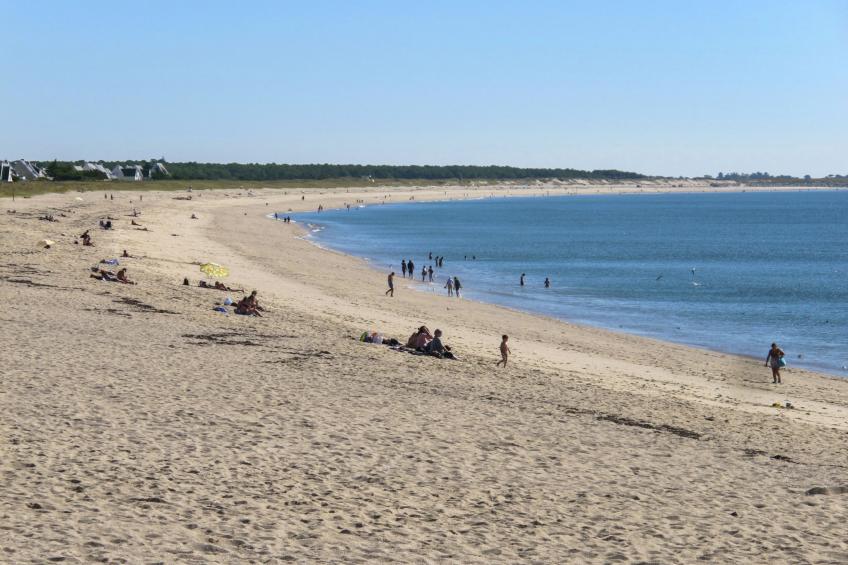 Plage, port et commerces à 2 pas - foto 29