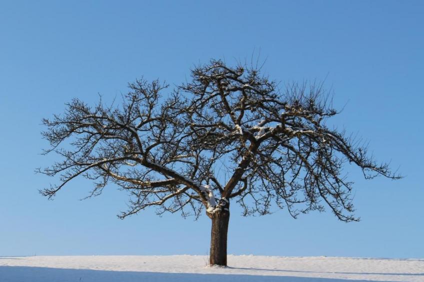 Jägerhaus - foto 30