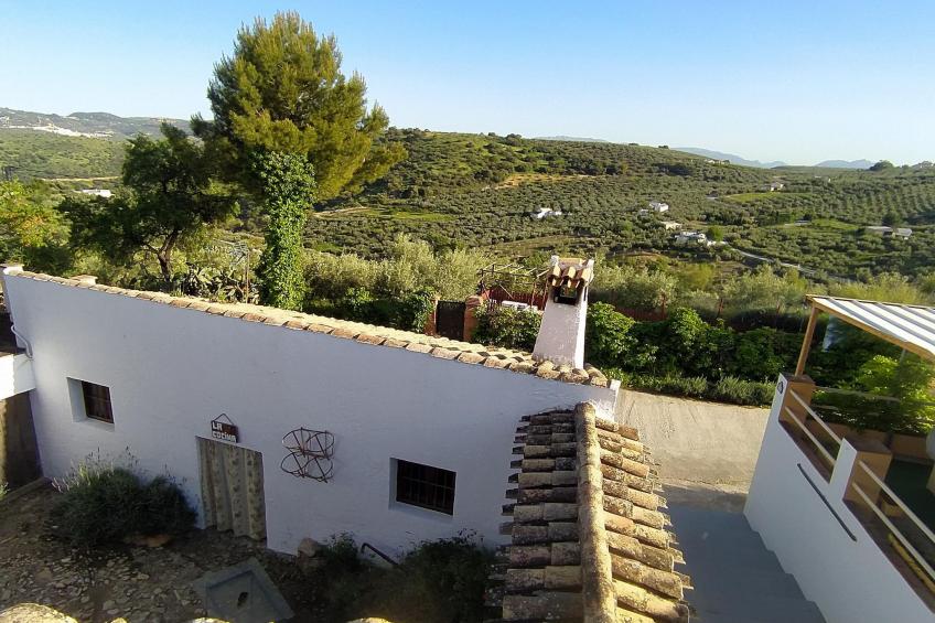 El Molino - foto 7