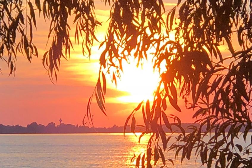 Hütte mit Garten, Grill und Terrasse - foto 34