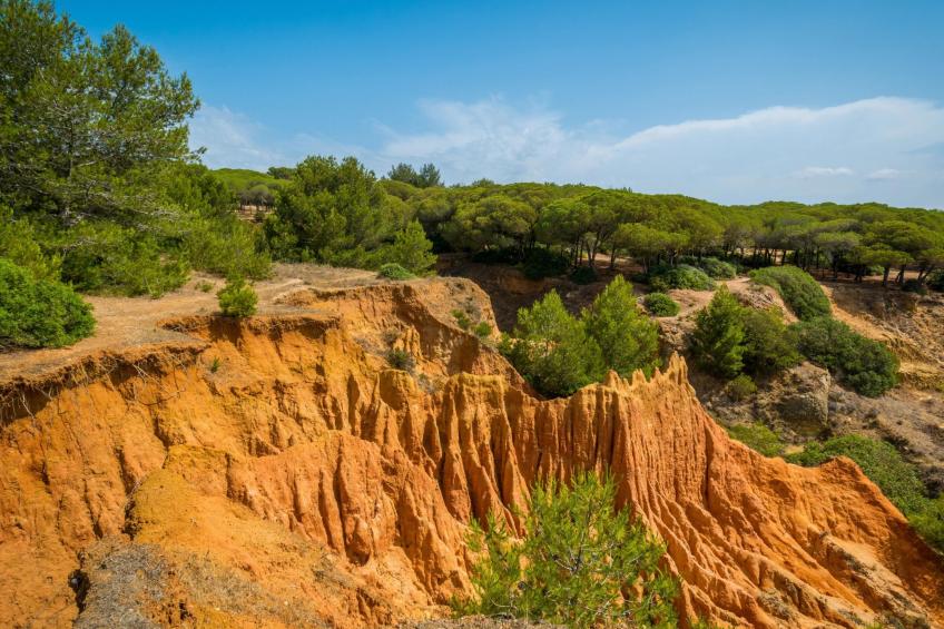 Wohnung "Falésia" mit Gemeinschaftspool - foto 35