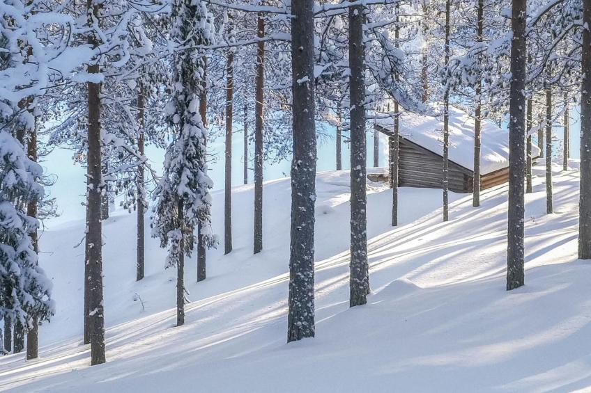 Huuhkalinna - foto 21