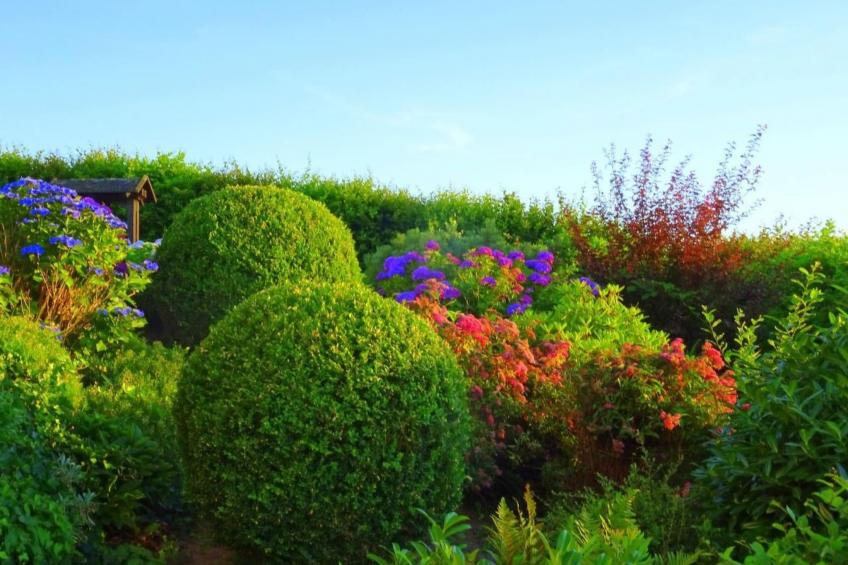 Traumwohnung - foto 13