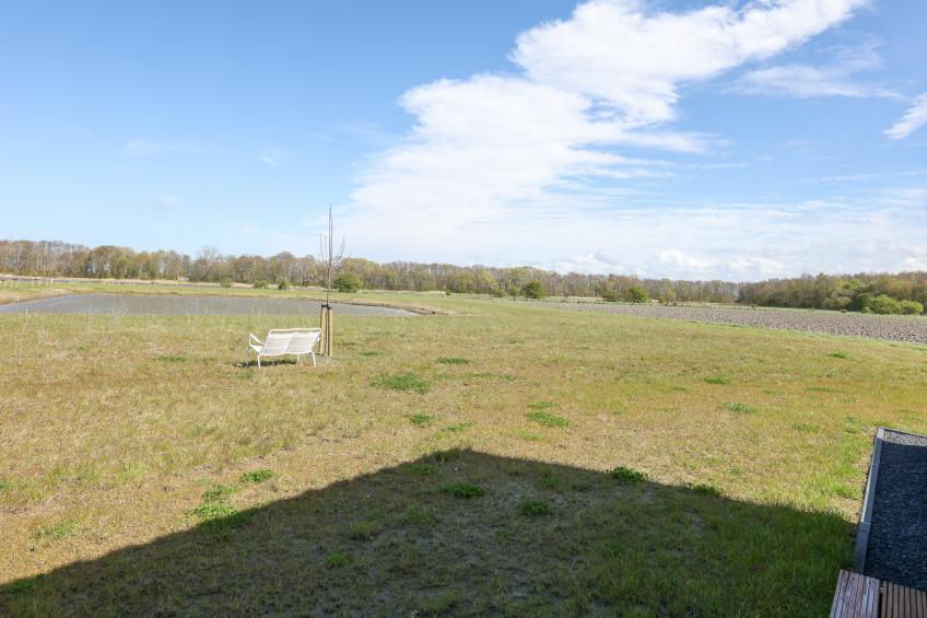 Natuur Oeverzicht - foto 15