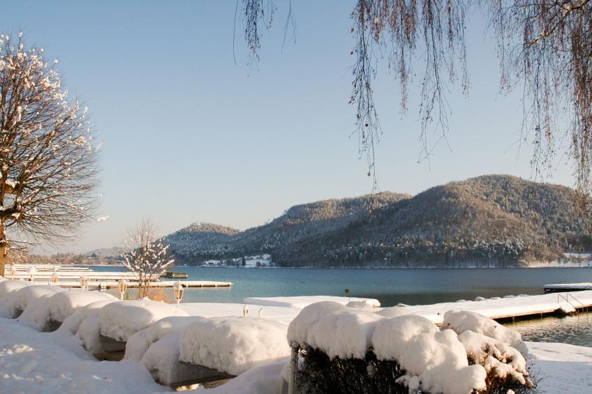 Laube - foto 17