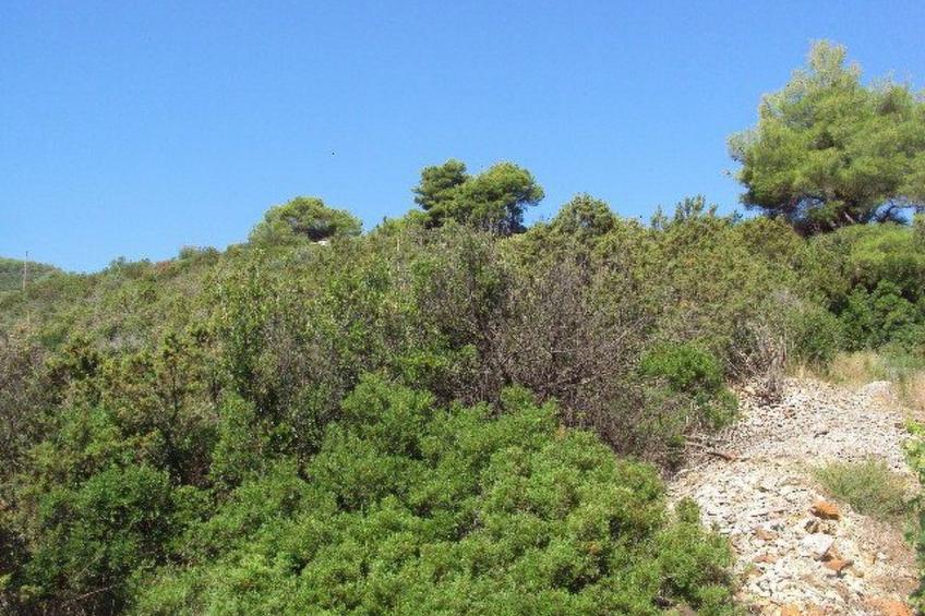 Schönes Apartment in Zaglav mit Außenkamin - foto 45