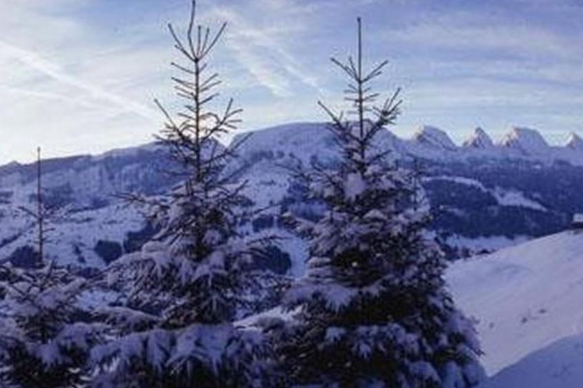 Hof 4, CH-9658 Wildhaus - foto 12