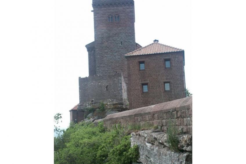 19016 - foto 38