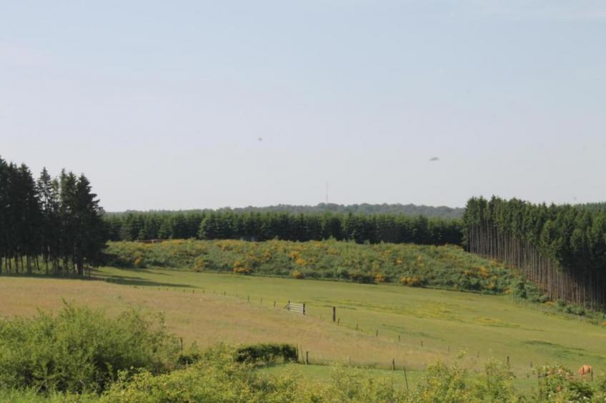 Maison typique vue sur le château d'Hautefort 6 pax - foto 33