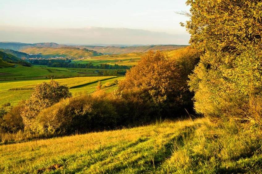 Apartment DanMa in Laubach - foto 18