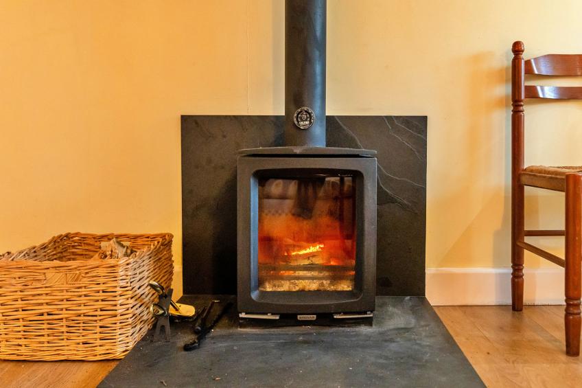 Jenny Wren - foto 28