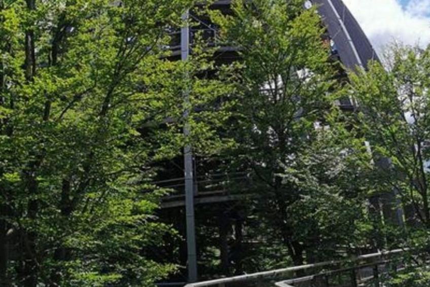 Wohnung mit möblierter Terrasse und Waldblick - foto 23