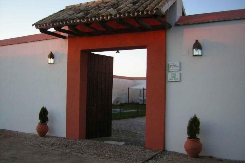 Ländliches Haus "El Pozo" mit Terrasse - foto 2