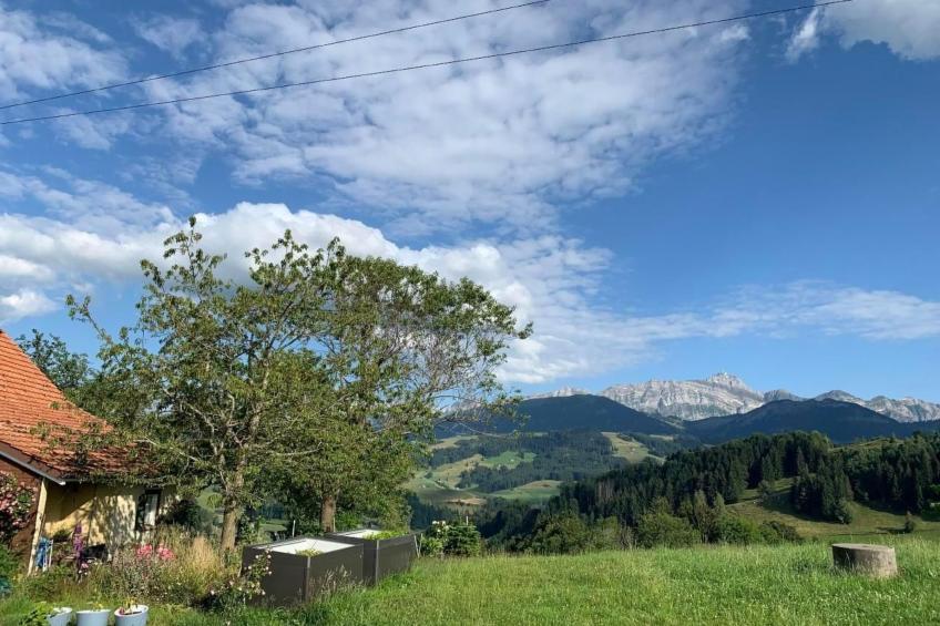 Tiererlebnishof Windegg - foto 36