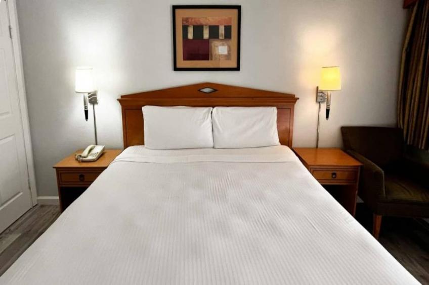 1 King Bed  Non-Smoking - foto 6