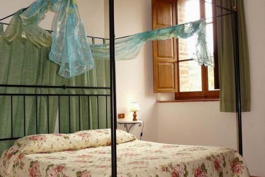 flach 'Salvia castellett