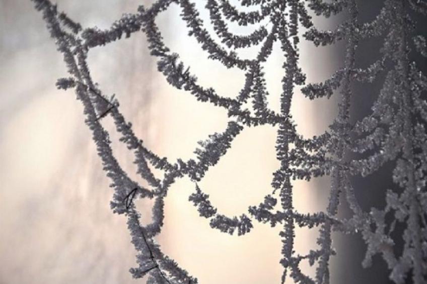 Stadt Apartement - foto 40