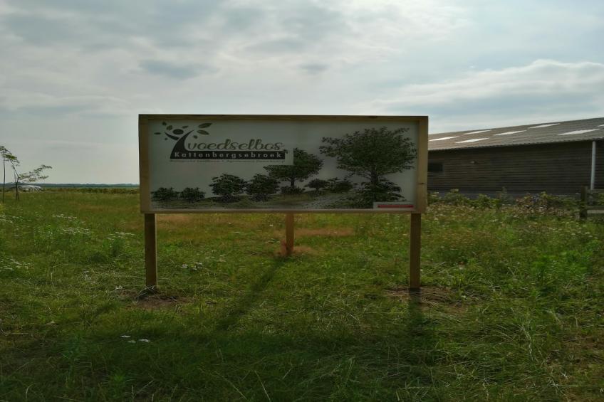Het Boshuis - foto 28
