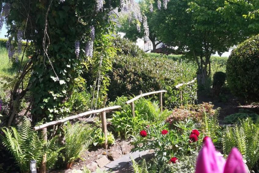 in Zendscheid mit Offenem Kamin - foto 38