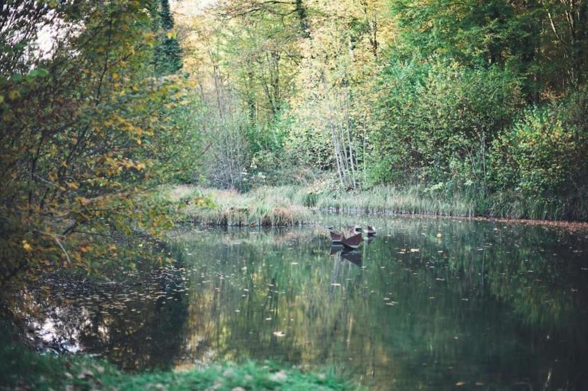 Repère du Cerf - foto 9