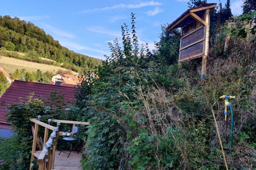 in Holzhausen mit Grill und Terrasse - foto 5