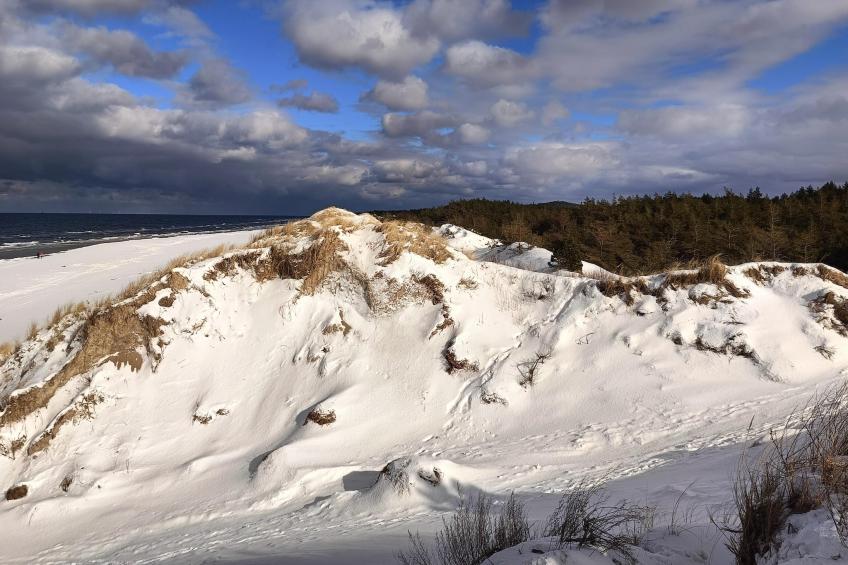 Dom wakacyjny z Klimatem Smołdziński Las - foto 32