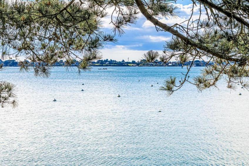 Les Iles du Morbihan - foto 23