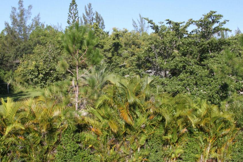 mit großzügigem Swimmingpool - foto 21