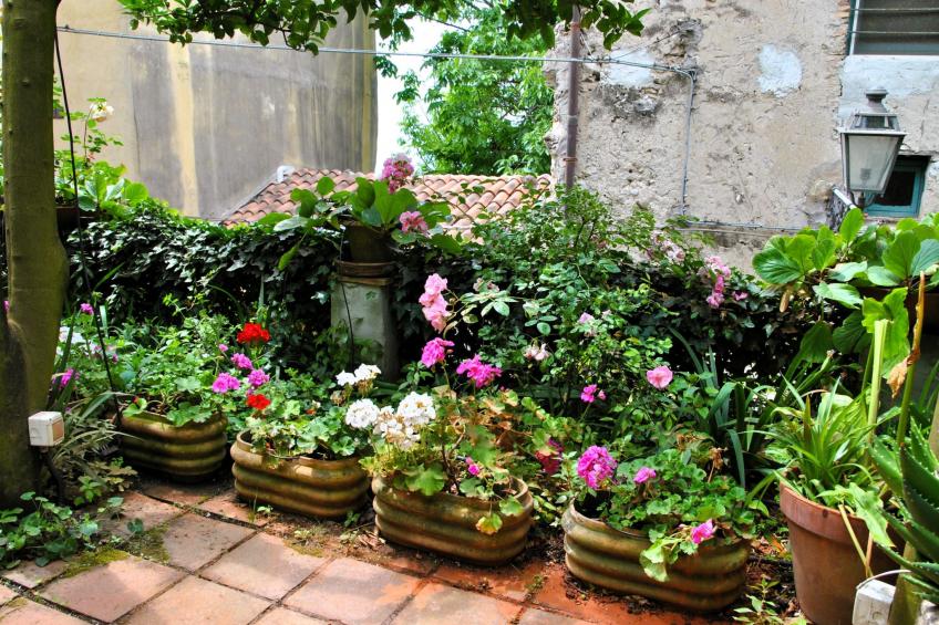 Giardino dei Limoni - foto 15