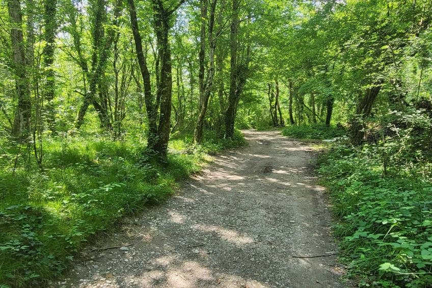 Peaceful Countryside Holiday Home with Terrace - One Bedroom Holiday Home with Terrace - foto 34