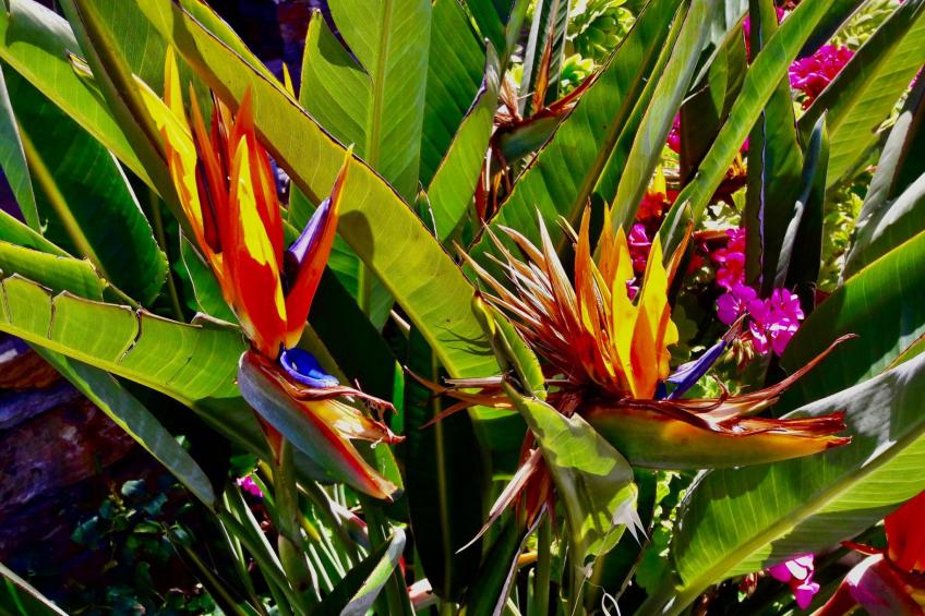 Luxuriöse, ruhige Wohnung direkt am Meer - Privatstrand - foto 63