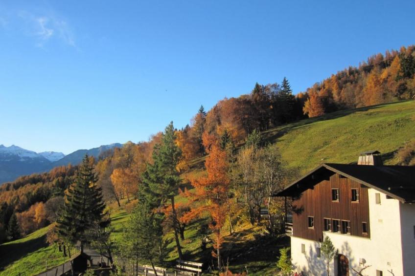 Staudenhof Viamala - foto 2