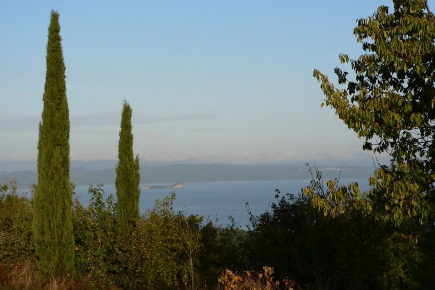 217519 - foto 35