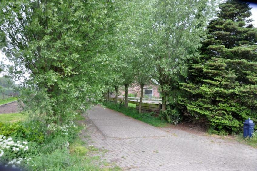 Parc de Kievit - foto 27