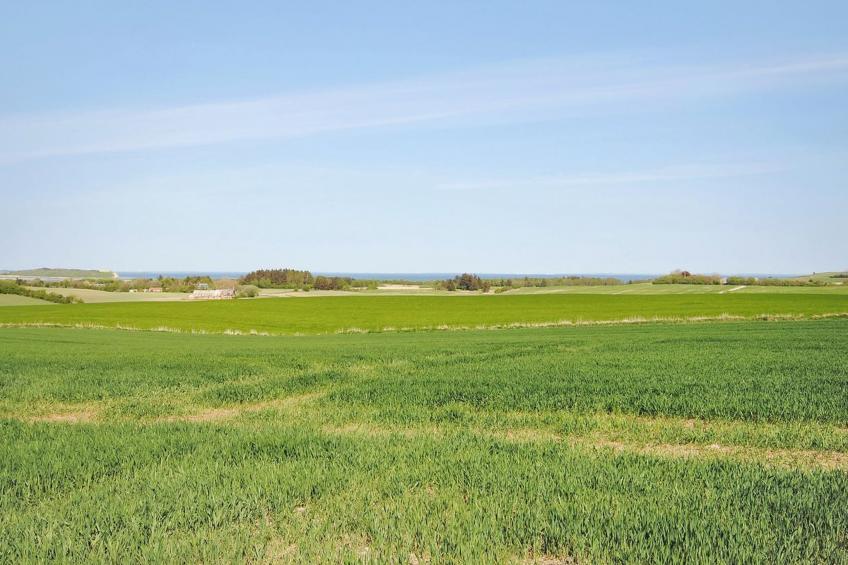 "Alois" - 1km to the inlet in The Liim Fiord - foto 3