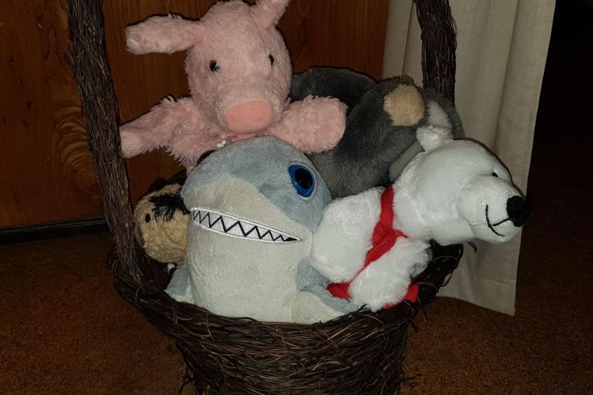 Elbufer 4B - foto 24