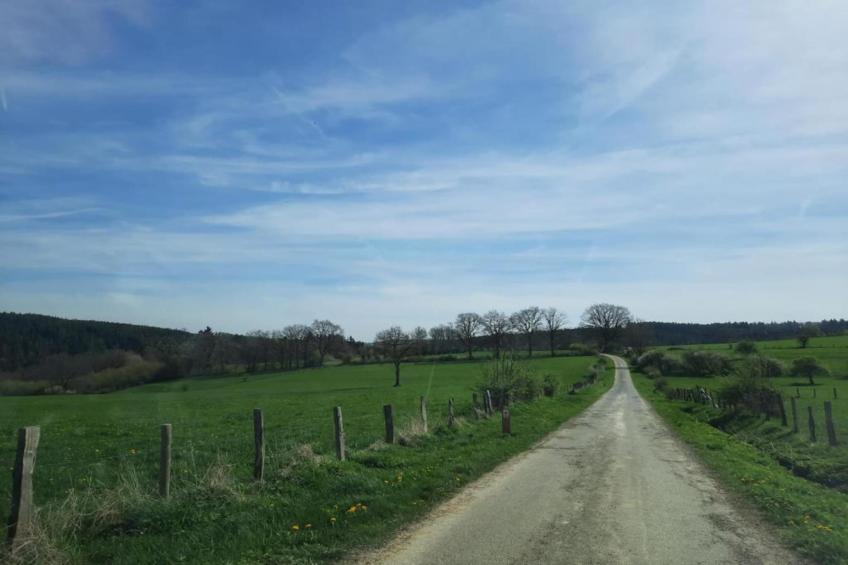 Sapin-Paul - foto 24