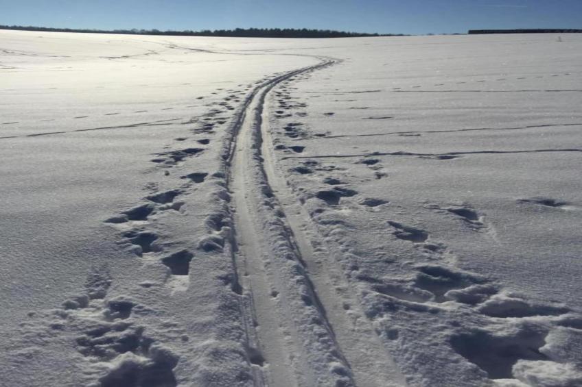 Im Erzgebirge - foto 35