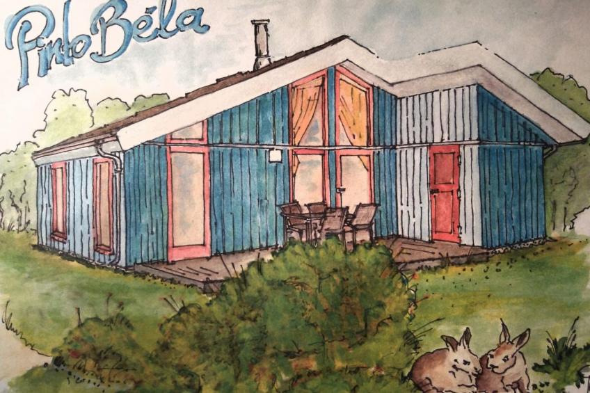 Pinto Béla - foto 3