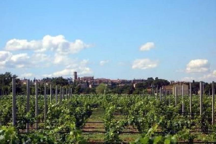 Mela' Wohnung mit Gemeinschaftspool - foto 9