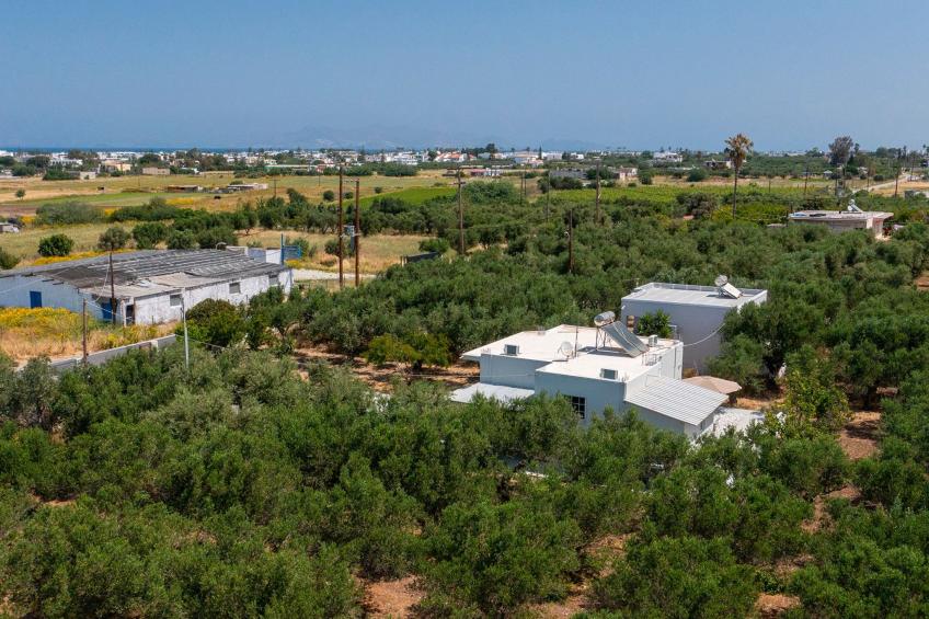 in einem Olivenhain in Strandnähe - foto 30