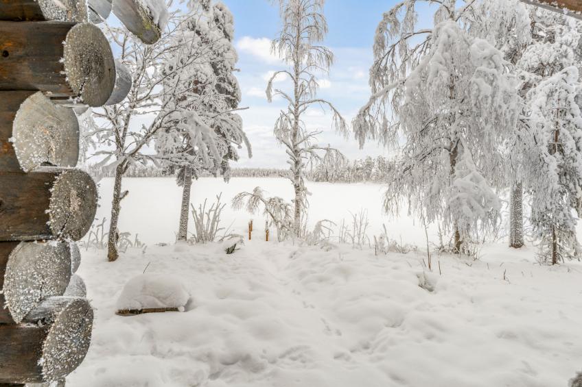 Kivalikkolampi - foto 39
